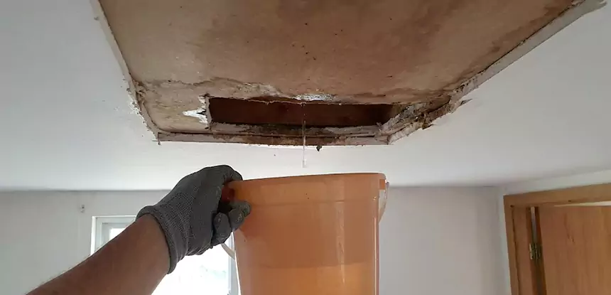Ceiling Mold Repair Rydal 