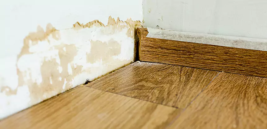 Professional Fix Water Damaged Wood Services in Rydal, GA