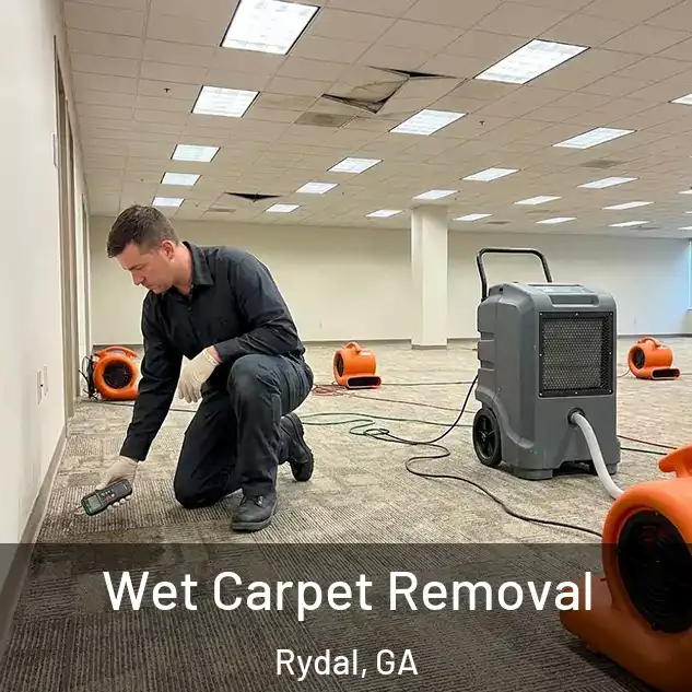  Wet Carpet Removal Rydal, GA